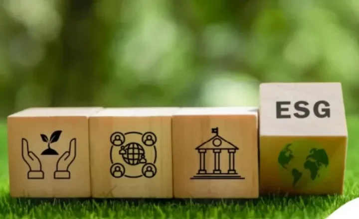 Selo ESG do Sebrae amplia visibilidade e valoriza pequenos negócios