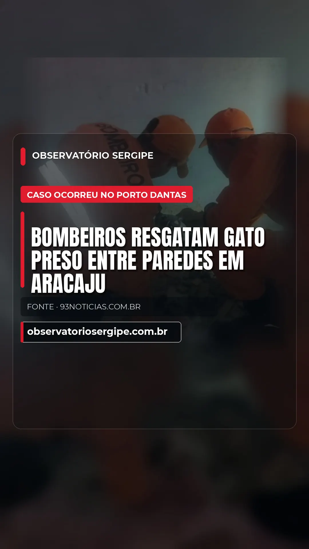 BOMBEIROS RESGATAM GATO PRESO ENTRE PAREDES EM ARACAJU