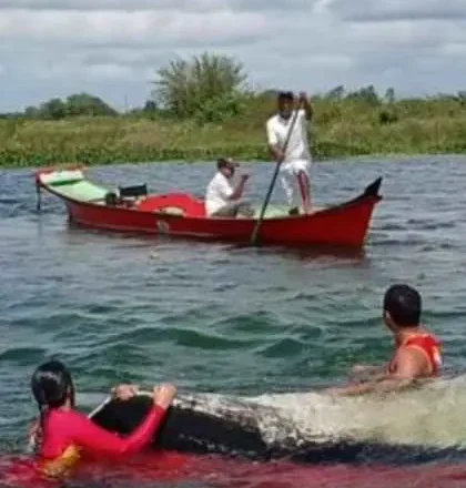 Mulher desaparece após naufrágio no Rio São Francisco