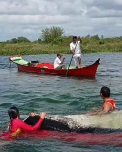 Mulher desaparece após naufrágio no Rio São Francisco