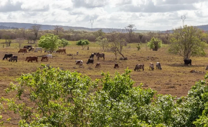 Previsão indica céu parcialmente nublado em Sergipe neste fim de semana
