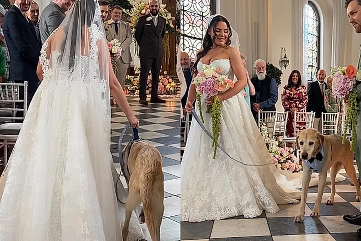 “Ele conseguiu”: Cachorrinho de 16 anos acompanha humana até o altar no dia do casamento.