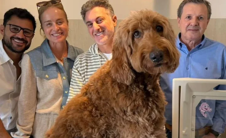 Cachorro marrom de pelo encaracolado sentado sobre uma mesa branca em ambiente interno. Quatro pessoas sorridentes estão atrás do cachorro, duas mulheres e dois homens, com parede branca e televisão desligada ao fundo.