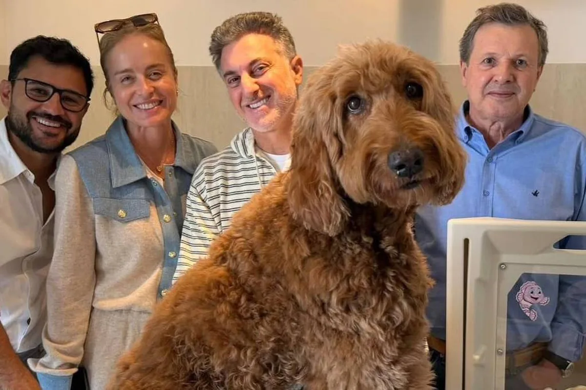 Cachorro marrom de pelo encaracolado sentado sobre uma mesa branca em ambiente interno. Quatro pessoas sorridentes estão atrás do cachorro, duas mulheres e dois homens, com parede branca e televisão desligada ao fundo.
