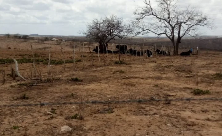 Boletim alerta para avanço da seca e risco de incêndios em Sergipe