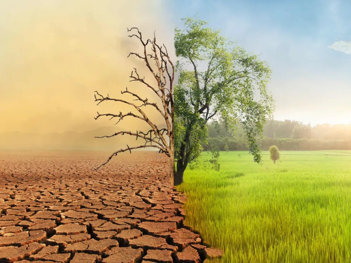 Defesa Civil estadual reunirá especialistas para discutir estratégias de mitigação dos efeitos do El Niño em Sergipe