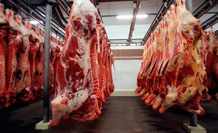 Embargo da União Europeia a produtos animais afeta US$ 1,84 bilhão em vendas do Brasil