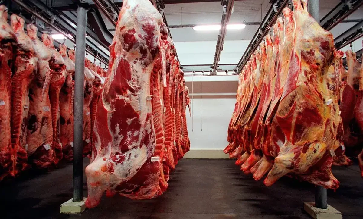 Embargo da União Europeia a produtos animais afeta US$ 1,84 bilhão em vendas do Brasil