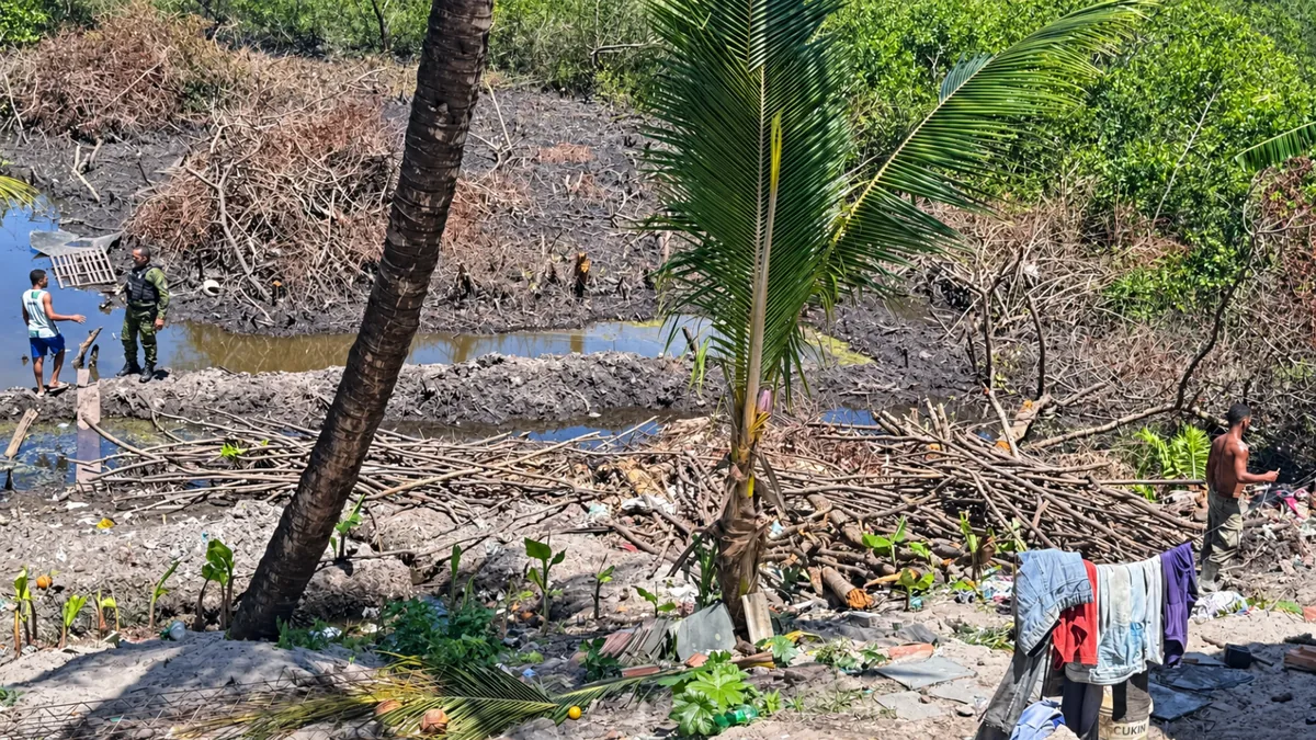 Homem é preso por desmatar área de manguezal para criar viveiro de camarão em Socorro