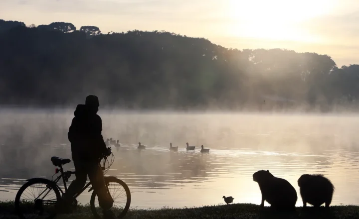 Paraná recebe alerta de queda de temperatura e mínimas podem chegar a 3°C no feriado; veja onde e previsão do tempo - G1