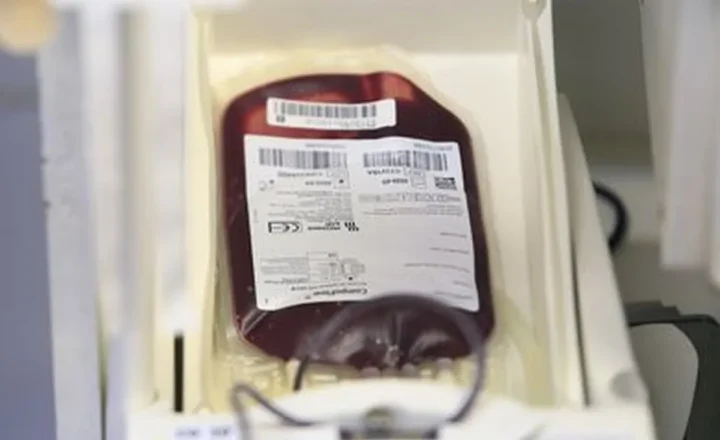 Pessoas participam de campanha de doação de sangue.