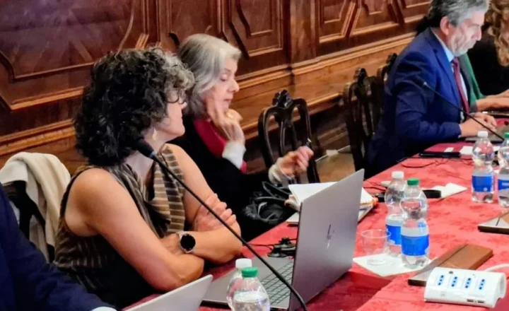Fotografia da ministra Cármen Lúcia participando da reunião da subcomissão da Comissão de Veneza.