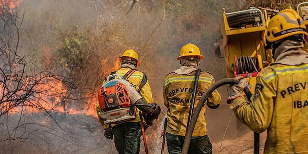 Fiocruz analisa impacto das queimadas na saúde indígena no Amazonas - Agência Brasil