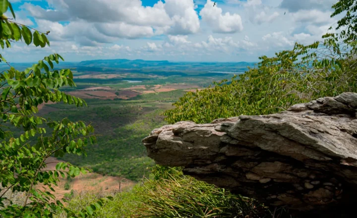 Governo de Sergipe emite aviso para baixa umidade neste final de semana