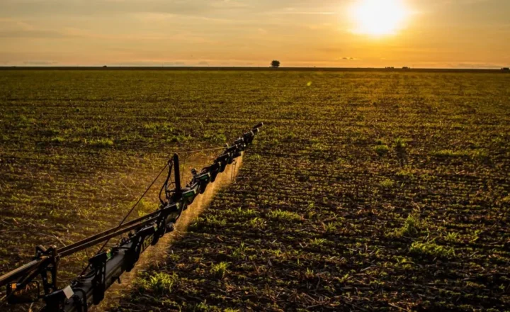 Nova lei amplia seguro rural e agiliza pagamento de indenizações