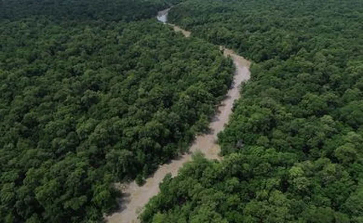 Bragança (PA), 12/06/2025 – Vista de um braço do Rio Caeté em área de manguezal na Reserva Extrativista Marinha de Caeté-Taperaçu monitorada pelo projeto Mangues da Amazônia. Foto: Fernando Frazão/Agência Brasil