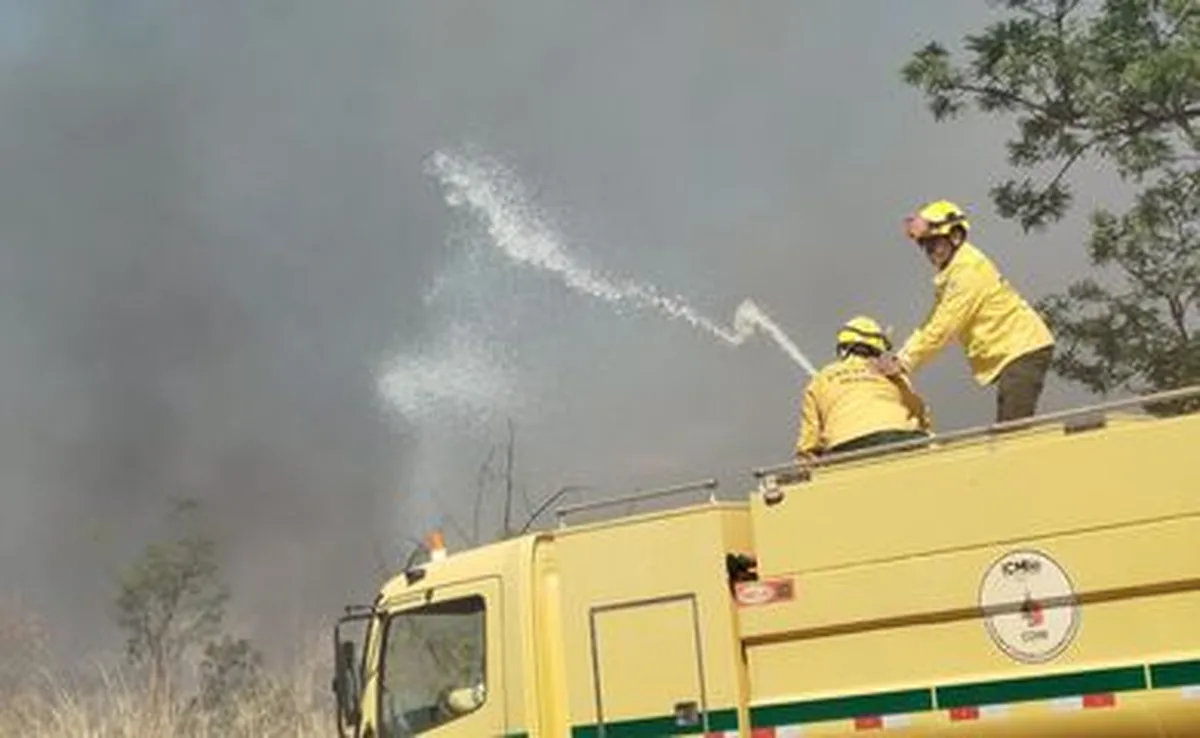 Brasília (DF), 09/10/2026 - Agentes do Corpo de Bombeiros controlam incêndio em área de mata na UnB. Foto: Luiz Cláudio Ferreira/Agência Brasil
